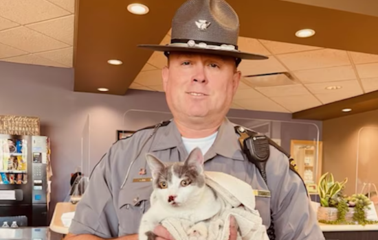 Ohio State Trooper Heroically Rescues Injured Kitten from Busy I-77