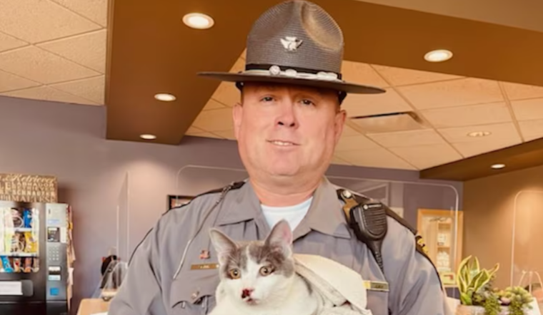 Ohio State Trooper Heroically Rescues Injured Kitten from Busy I-77