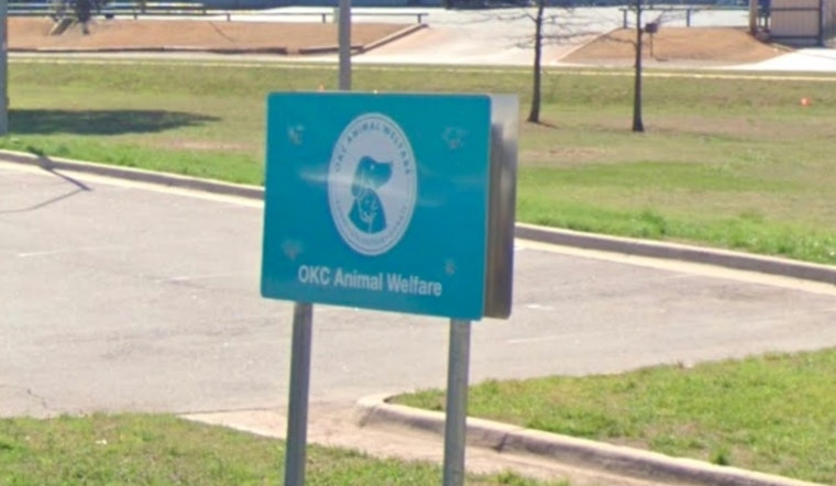 Oklahoma City Rallies for Clear The Shelters Campaign to Find Pets Permanent Homes