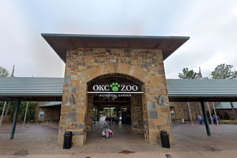 Oklahoma City Zoo Adds Indian Rhino Mohan to Bolster Breeding and Conservation Efforts