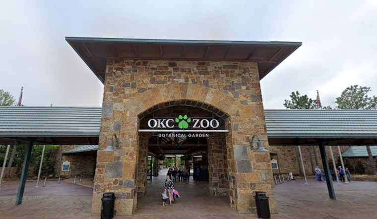 Oklahoma City Zoo Adds Indian Rhino Mohan to Bolster Breeding and Conservation Efforts