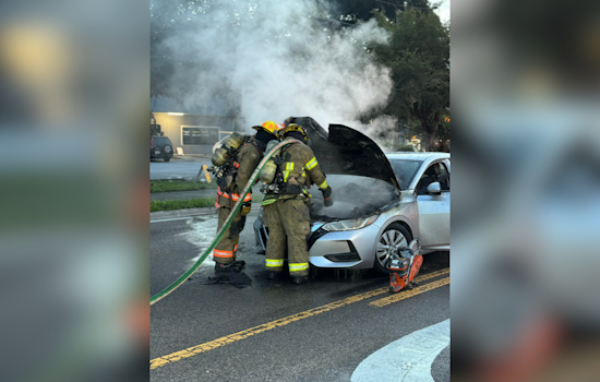 Orange County Firefighters Extinguish Vehicle Blaze, No Injuries Reported on S. Powers and Old Winter Garden Road