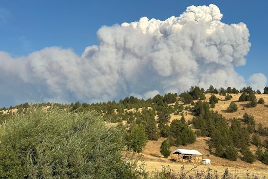 Oregon Bolsters Firefighting Efforts as Service Fire Burns 15,000 Acres in Wheeler County
