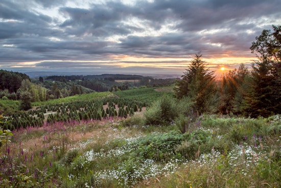 Oregon Unveils 10-Year Plan to Preserve Cultural Heritage and Historical Sites