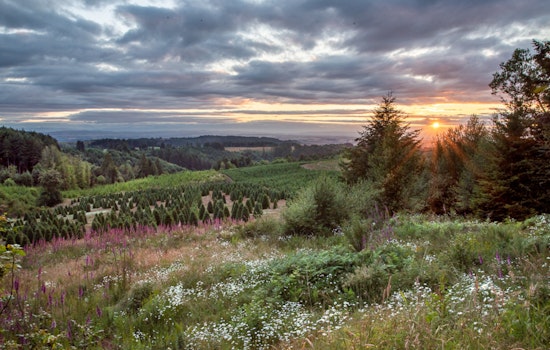 Oregon Unveils 10-Year Plan to Preserve Cultural Heritage and Historical Sites