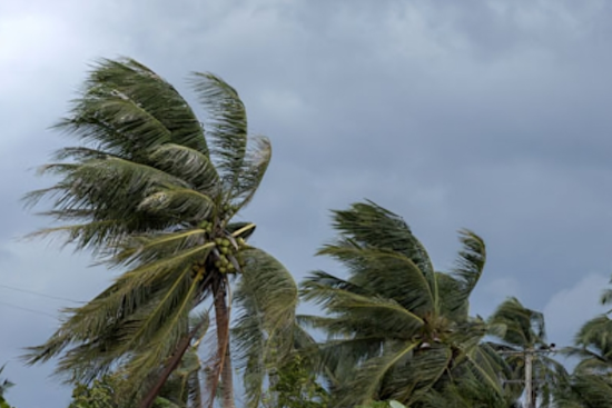 Osceola County and Kissimmee Brace for Hurricane Helene with Office Closures and Emergency Declarations