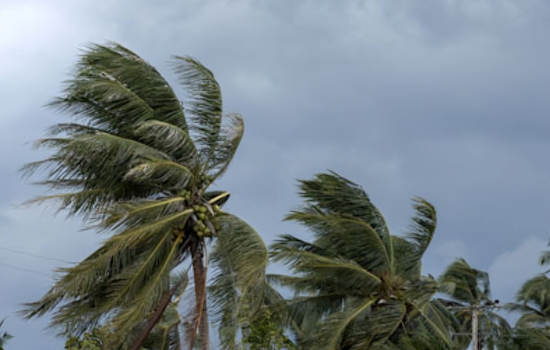 Osceola County and Kissimmee Brace for Hurricane Helene with Office Closures and Emergency Declarations