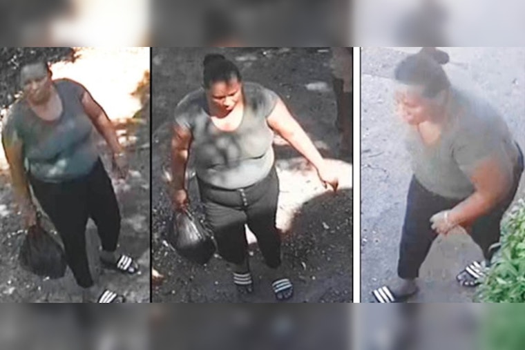 Palm Beach County Sheriff's Office Seeks Female Suspect in Lake Worth Beach Family Dollar Theft