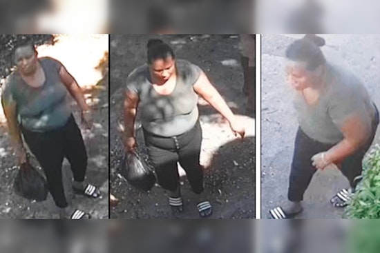 Palm Beach County Sheriff's Office Seeks Female Suspect in Lake Worth Beach Family Dollar Theft