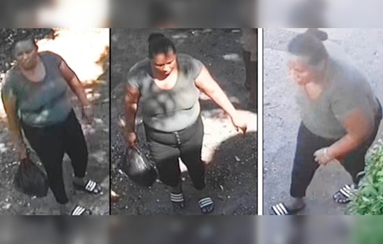 Palm Beach County Sheriff's Office Seeks Female Suspect in Lake Worth Beach Family Dollar Theft
