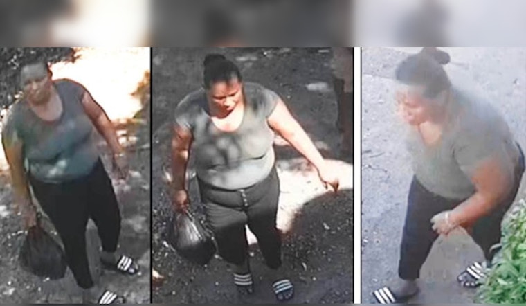 Palm Beach County Sheriff's Office Seeks Female Suspect in Lake Worth Beach Family Dollar Theft