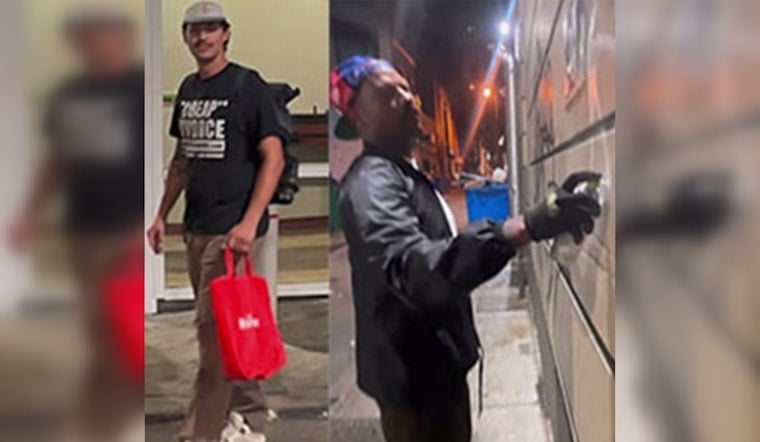 Philadelphia Police Seek Public's Aid in Identifying Suspects in Walnut Street Graffiti Vandalism