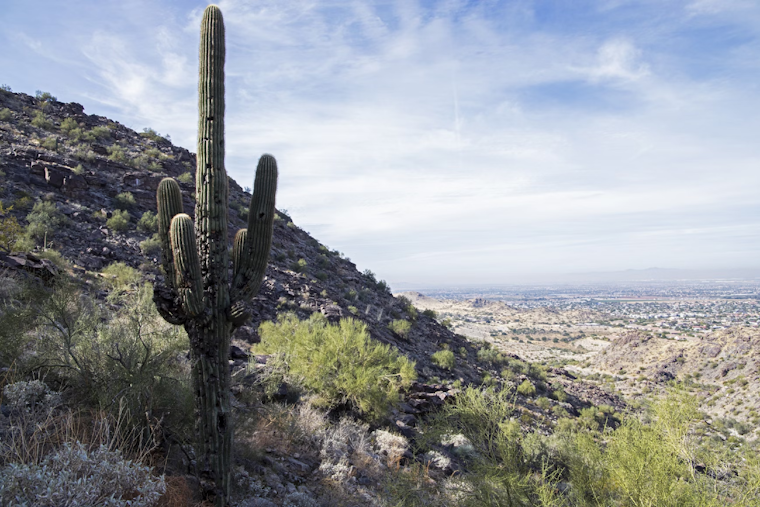 Phoenix Braces for Intense Heat Wave with Temperatures Soaring Above 100 Degrees