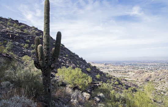 Phoenix Braces for Intense Heat Wave with Temperatures Soaring Above 100 Degrees