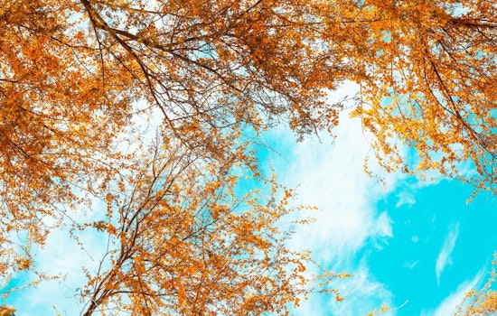 Phoenix Braces for Rising Temperatures and Sunshine-Filled Week Ahead