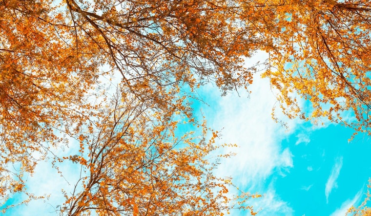 Phoenix Braces for Rising Temperatures and Sunshine-Filled Week Ahead