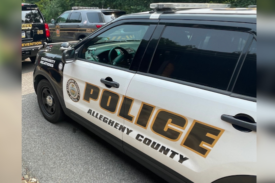 Pittsburgh Man Sentenced to 15-30 Years for Shooting North Versailles Officer and Police Dog