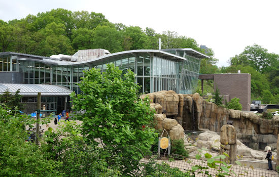 Pittsburgh Zoo & Aquarium Welcomes Rescued Bald Eagles, Justice and Liberty, to Their New Home