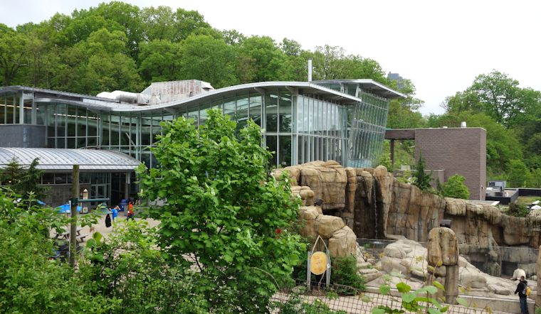Pittsburgh Zoo & Aquarium Welcomes Rescued Bald Eagles, Justice and Liberty, to Their New Home