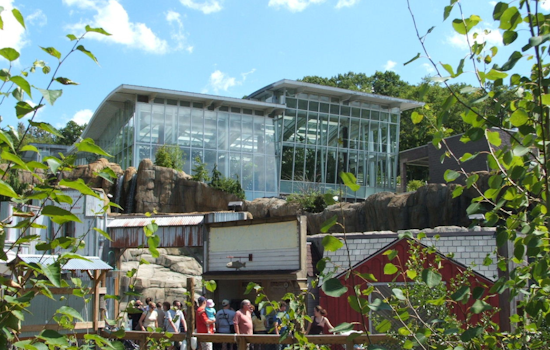 Pittsburgh Zoo Regains Prestigious AZA Accreditation, Signifying Commitment to Animal Welfare and Conservation