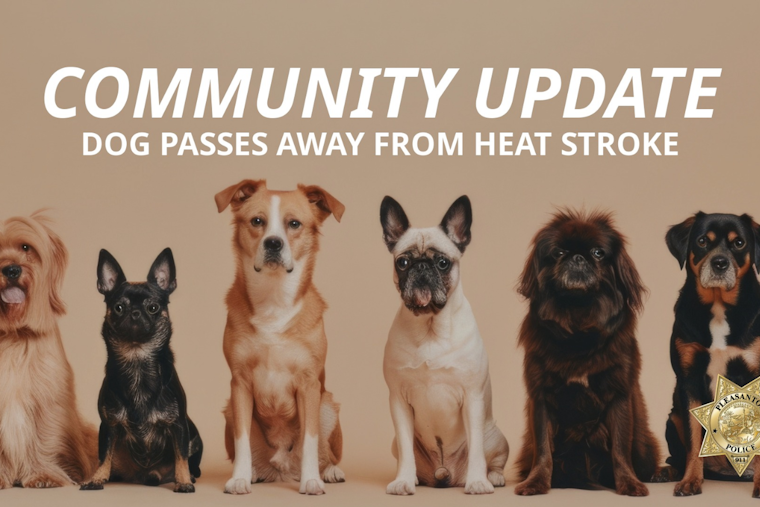 Pleasanton Community Mourns Canine Victim of Heatstroke, Police Investigate After Dog Found Dead on Apartment Balcony
