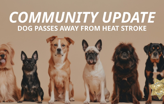 Pleasanton Community Mourns Canine Victim of Heatstroke, Police Investigate After Dog Found Dead on Apartment Balcony