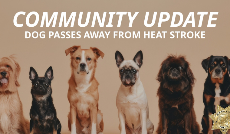 Pleasanton Community Mourns Canine Victim of Heatstroke, Police Investigate After Dog Found Dead on Apartment Balcony