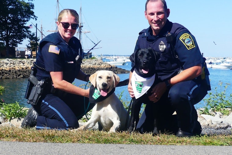 Plymouth Police Celebrate Local High School Rivalry with Thanksgiving Charity Patch Initiative