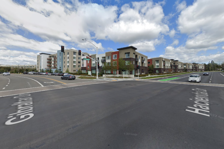 Police Confirm Accidental Heatstroke Death of Dog in Pleasanton Apartment