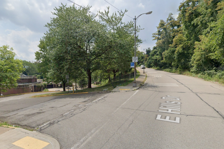 Public Health Alert, Rabid Cat Found Near Imani Christian Academy in Pittsburgh's East Hills