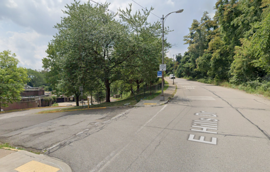 Public Health Alert, Rabid Cat Found Near Imani Christian Academy in Pittsburgh's East Hills