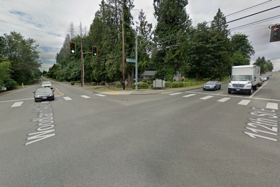 Puyallup Family's Pet Emu Missing After Mysterious Gate Opening, Search Underway