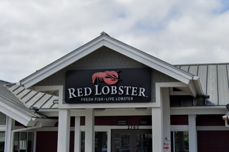 Red Lobster Emerges from Chapter 11 Under New CEO Damola Adamolekun, Secures $60 Million to Enhance Customer Experience