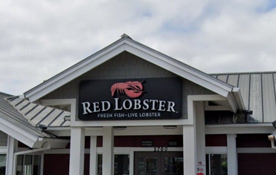 Red Lobster Emerges from Chapter 11 Under New CEO Damola Adamolekun, Secures $60 Million to Enhance Customer Experience