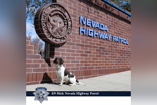 Retired Nevada State Police K9 Mick Remembered for Exceptional Service and Drug Detection Legacy
