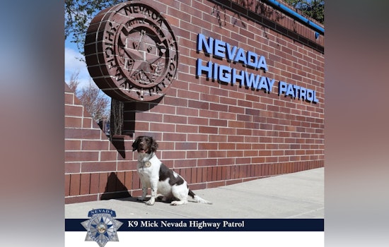 Retired Nevada State Police K9 Mick Remembered for Exceptional Service and Drug Detection Legacy