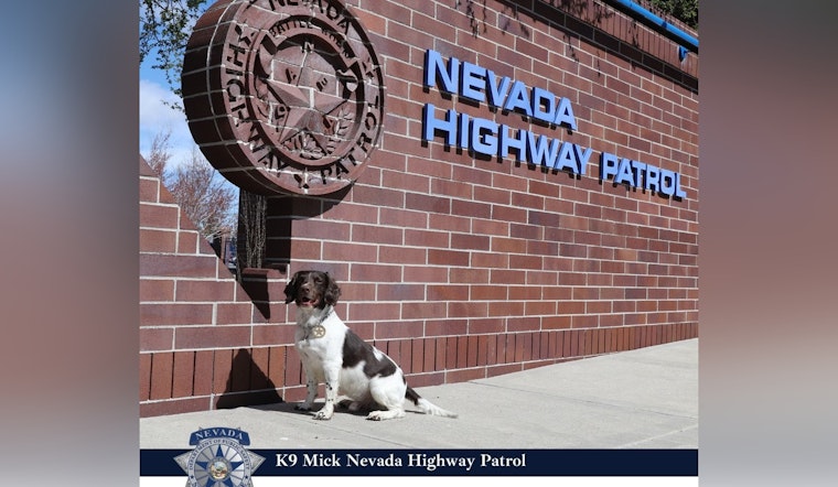 Retired Nevada State Police K9 Mick Remembered for Exceptional Service and Drug Detection Legacy