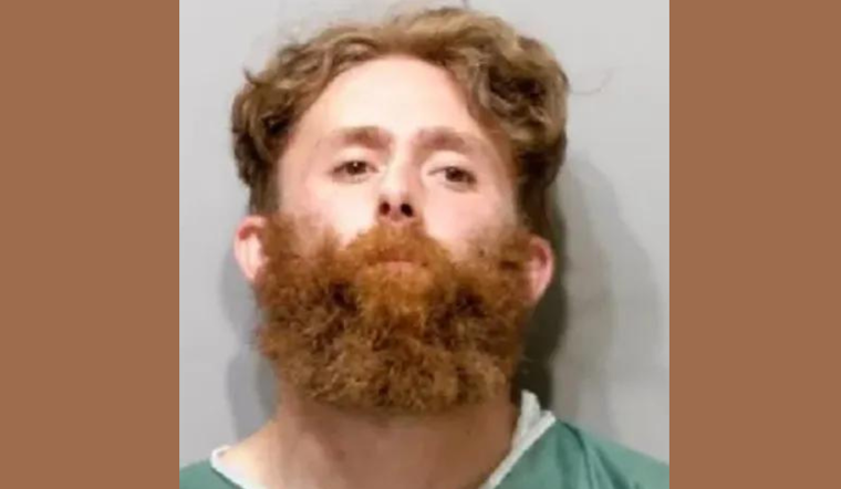 Romulus Man Convicted in Fatal DUI Crash That Killed Vivian Carmody, Injured Eastern Market CEO