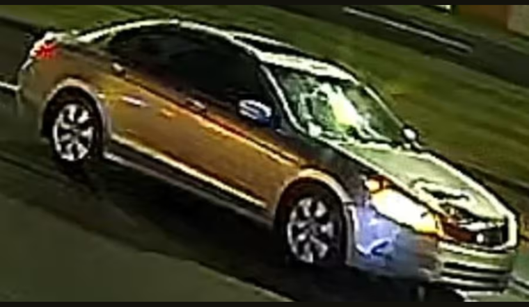 Roseville Man Fatally Struck in Eastpointe Hit-and-Run, Police Seek Silver Sedan and Community Assistance