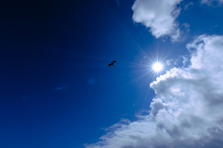 Sacramento Heats Up as 90-Degree Temperatures Return for the Weekend