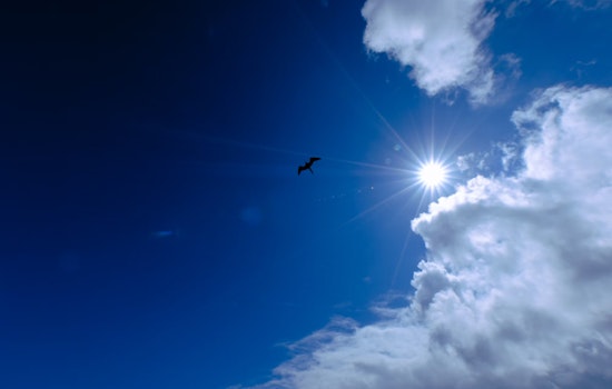 Sacramento Heats Up as 90-Degree Temperatures Return for the Weekend