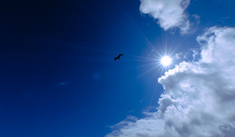 Sacramento Heats Up as 90-Degree Temperatures Return for the Weekend