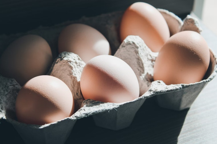 Salmonella Outbreak Linked to Michigan-Sold Eggs Leads to Multi-State Illnesses and Recall