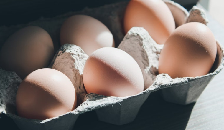 Salmonella Outbreak Linked to Michigan-Sold Eggs Leads to Multi-State Illnesses and Recall