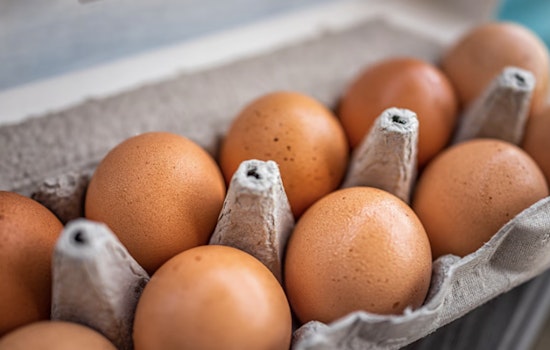 Salmonella Outbreak Linked to Midwest Egg Producer as Antibiotic-Resistant Strain Sickens Dozens in Illinois, Michigan, and Wisconsin