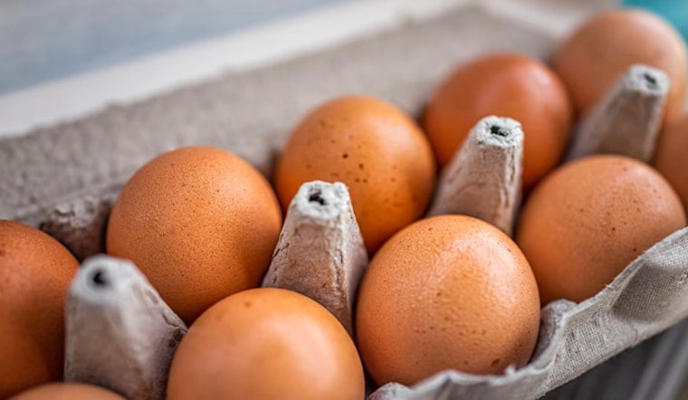 Salmonella Outbreak Linked to Midwest Egg Producer as Antibiotic-Resistant Strain Sickens Dozens in Illinois, Michigan, and Wisconsin