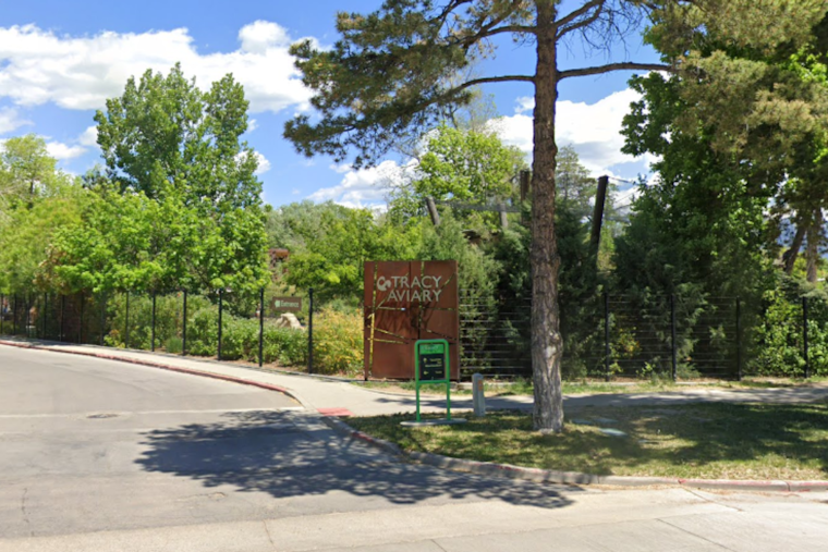 Salt Lake City Unveils $40K Statue of 'Celebirdy' Andy N. Condor at Tracy Aviary