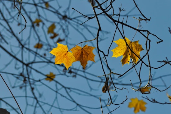 San Antonio Greets Fall With Warm Temperatures and Slight Rain Chances, Cooler Air Expected by Weekend