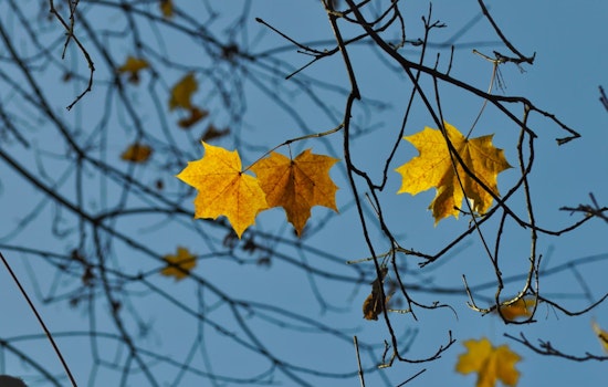 San Antonio Greets Fall With Warm Temperatures and Slight Rain Chances, Cooler Air Expected by Weekend