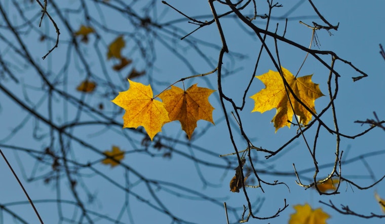 San Antonio Greets Fall With Warm Temperatures and Slight Rain Chances, Cooler Air Expected by Weekend